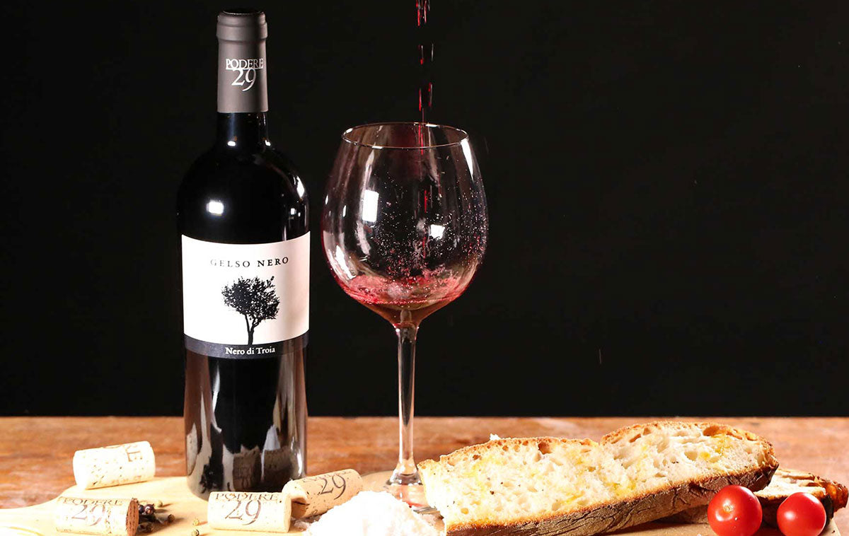 Gelso Nero Red Wine – Nero di Troia IGT | Podere 29 (Foggia, Puglia)