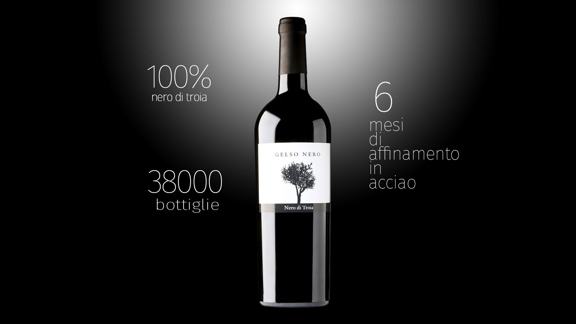 Gelso Nero Red Wine – Nero di Troia IGT | Podere 29 (Foggia, Puglia)